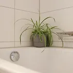 Eine Brise Glueck * Ольпениц
